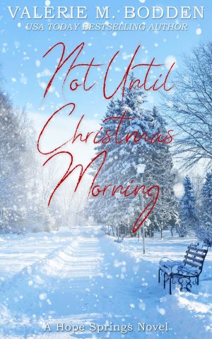 Cover for Not until Christmas Morning