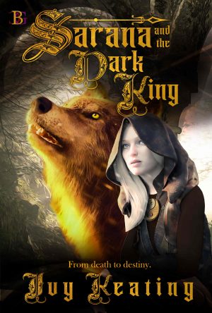 Cover for Sarana and the Dark King