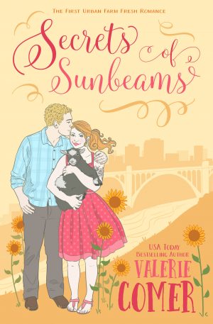 Cover for Secrets of Sunbeams
