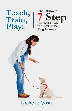 Cover for Teach, Train, Play: The Ultimate 7 Step Survival Guide For First Time Dog Owners