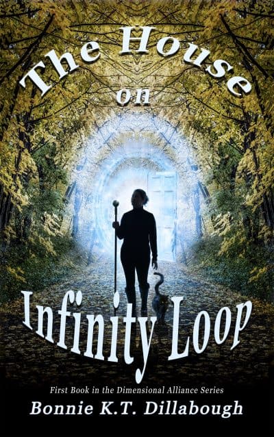 Cover for The House on Infinity Loop