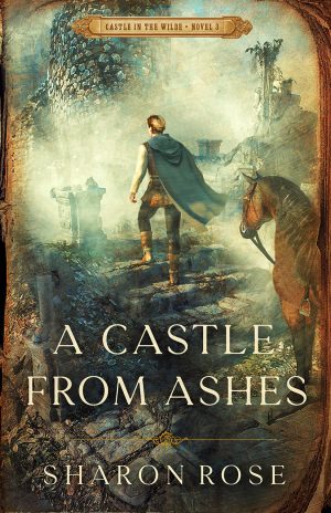 Cover for A Castle from Ashes
