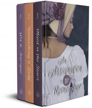 Cover for An Assignation to Remember Boxset