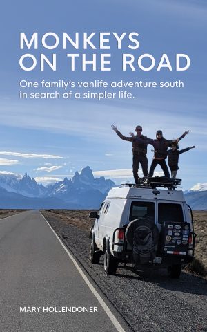 Cover for Monkeys on the Road