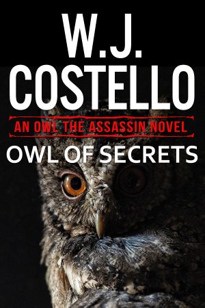 Cover for Owl of Secrets