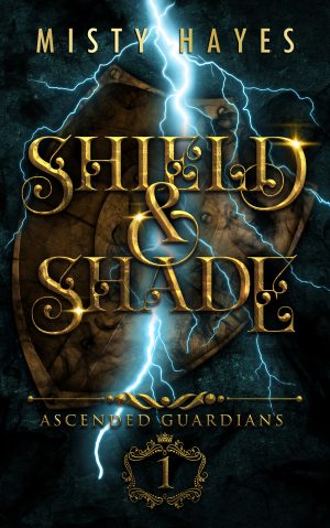 Cover for Shield & Shade