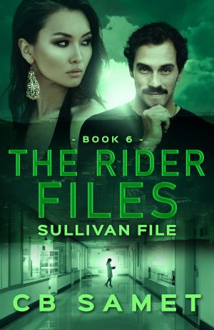 Cover for Sullivan File