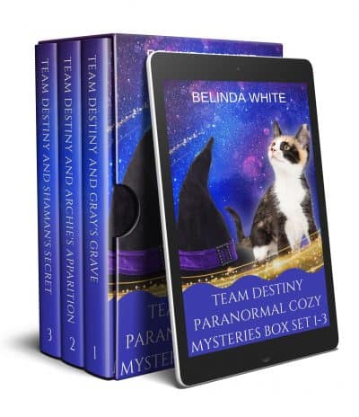 Cover for Team Destiny Paranormal Cozy Mysteries Box Set 1-3