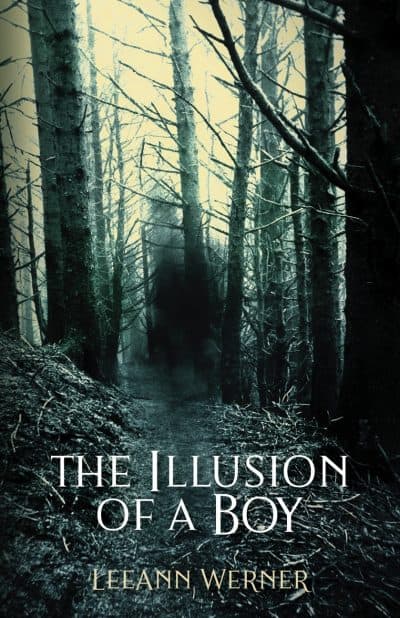 Cover for The Illusion of a Boy