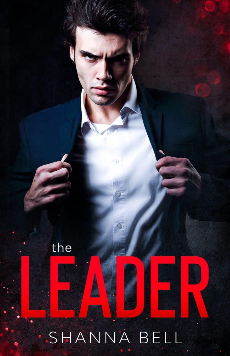 Cover for The Leader: an arranged marriage romance