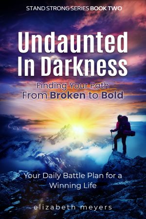 Cover for Undaunted in Darkness