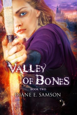 Cover for Valley of Bones