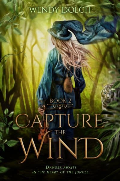 Cover for Capture the Wind