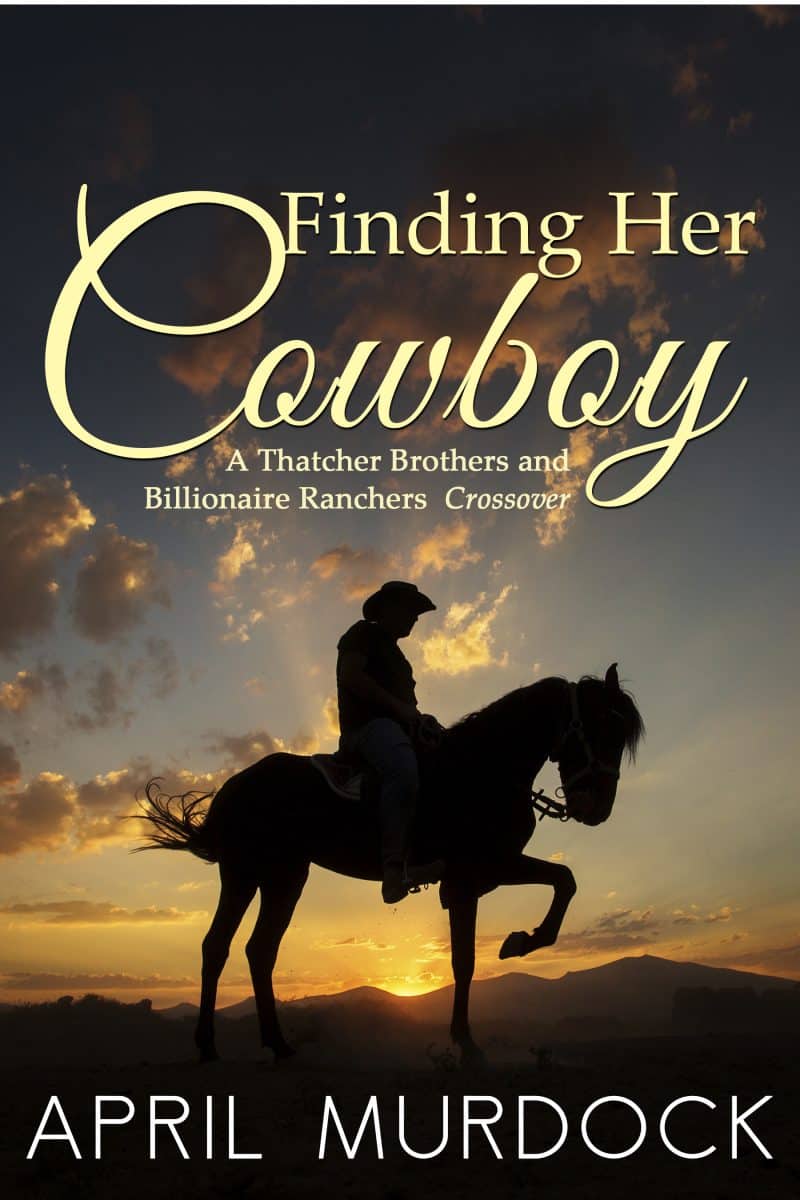 Cover for Finding Her Cowboy