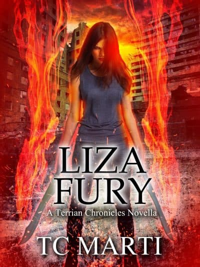 Cover for Liza Fury: The Discovery