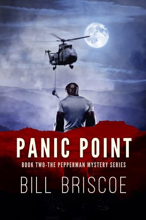 Cover for Panic Point