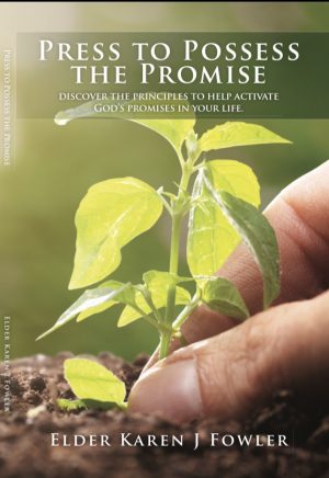 Cover for Press to Possess the Promise