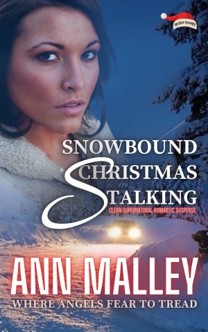 Cover for Snowbound Christmas Stalking