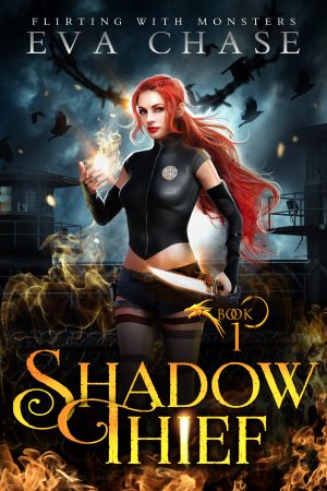 Cover for Shadow Thief