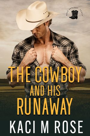 Cover for The Cowboy and His Runaway
