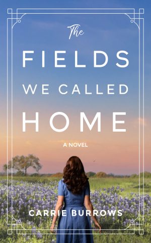Cover for The Fields We Called Home