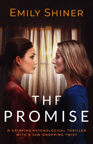 Cover for The Promise