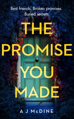 Cover for The Promise You Made