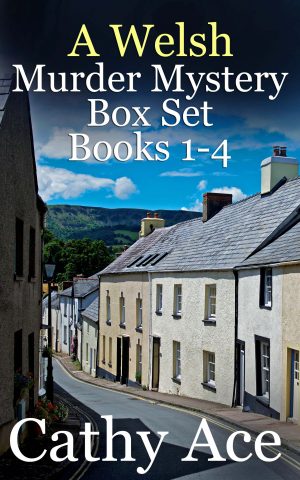 Cover for A Welsh Murder Mystery Box Set 1–4
