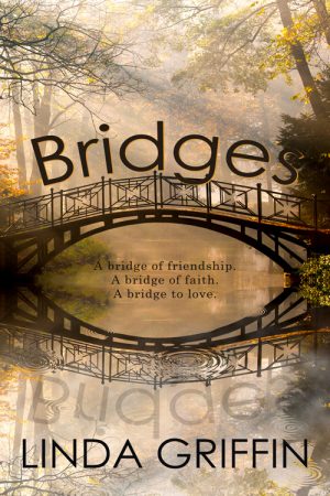 Cover for Bridges