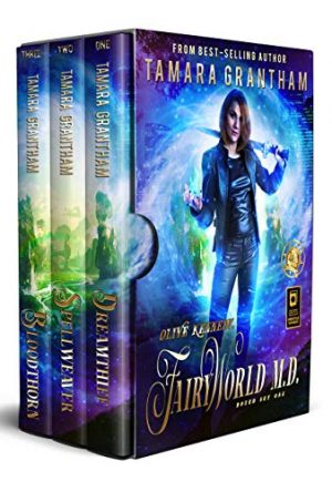 Cover for Fairy World MD Box Set One