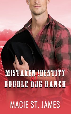 Cover for Mistaken Identity at Double Dog Ranch