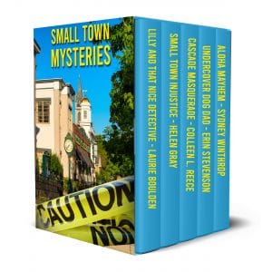 Cover for Small Town Mysteries