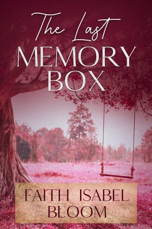 Cover for The Last Memory Box