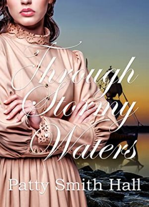 Cover for Through Stormy Waters
