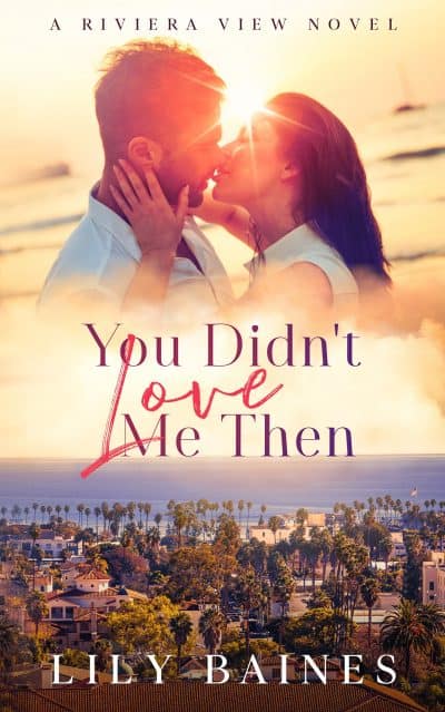 Cover for You Didn't Love Me Then