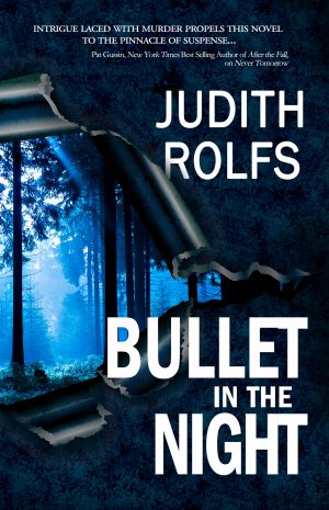 Cover for Bullet in the Night
