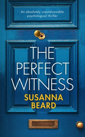 Cover for The Perfect Witness
