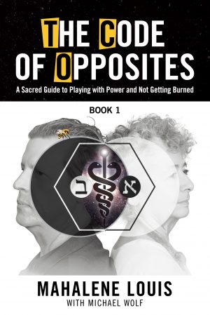 Cover for The Code of Opposites