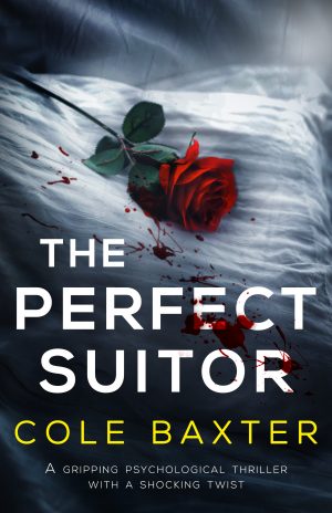 Cover for The Perfect Suitor
