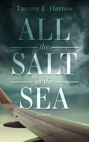 Cover for All the Salt in the Sea