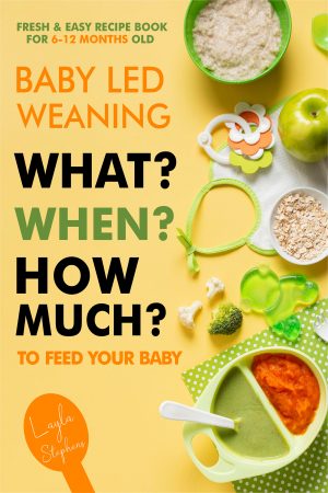 Cover for Baby Led Weaning - 100 Fresh & Easy Recipe Book for 6-12 Months Old