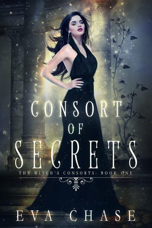 Cover for Consort of Secrets