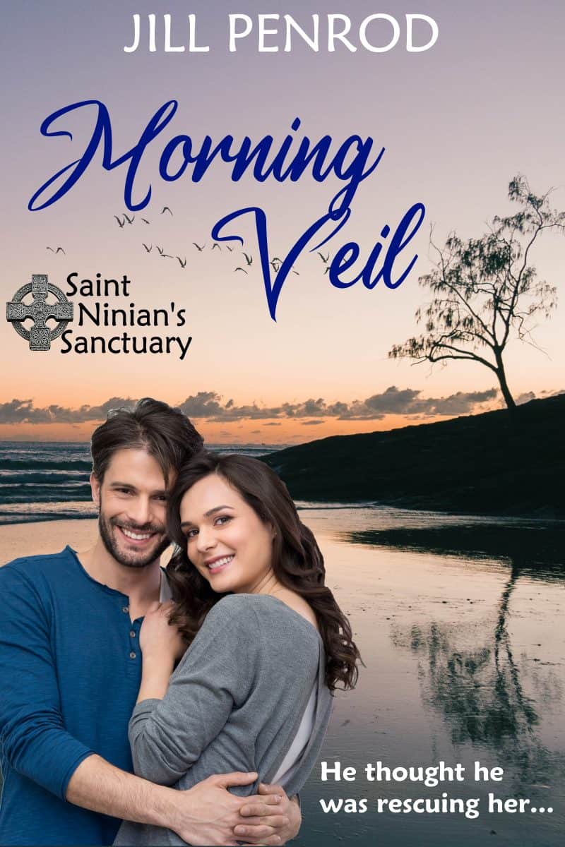 Cover for Morning Veil