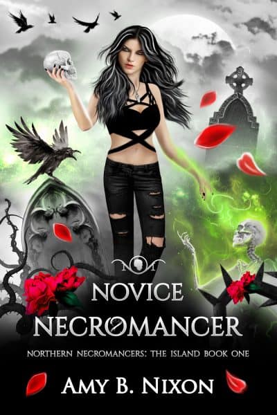 Cover for Novice Necromancer