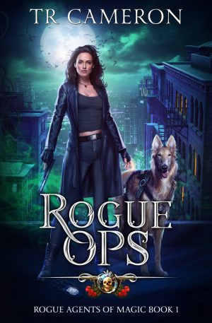 Cover for Rogue Ops