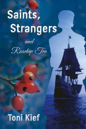 Cover for Saints, Strangers and Rosehip Tea