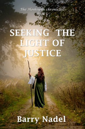 Cover for Seeking the Light of Justice