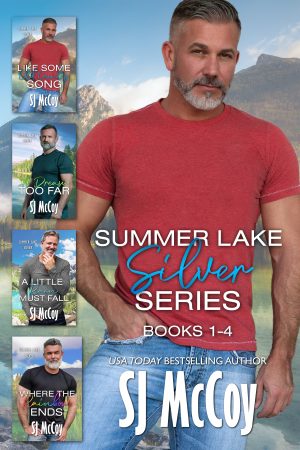 Cover for Summer Lake Silver Boxed Set (Books 1-4)