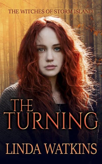 Cover for The Turning