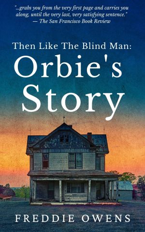 Cover for Then like the Blind Man: Orbie's Story